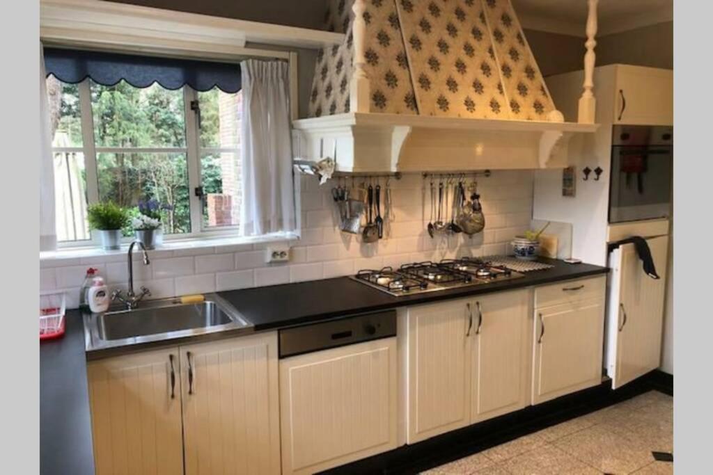 Vrijstaande Rietgedekte Villa Nabij Uitvalswegen Wassenaar Exteriör bild